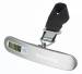 Luggage scale Silver
